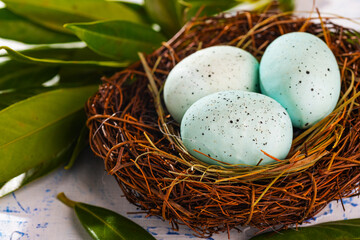 Easter eggs lie in the nest. View from above.
