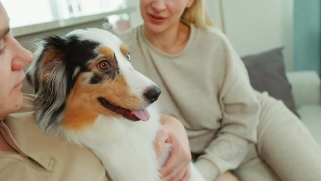 Couple with their Australian Shepherd on the sofa, immersed in daytime TV