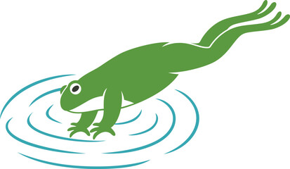 Frog jumping. Isolated frog jumping on white background