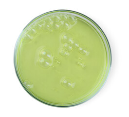 Petri dish with color liquid sample isolated on white, top view