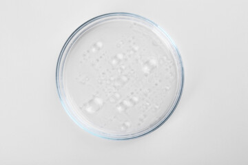 Petri dish with liquid sample isolated on white, top view