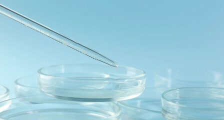 Pipette over petri dish on light blue background, closeup