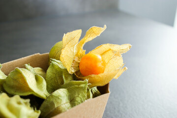 Close up of ripe delicious physalis fruit in a paper box on grey table