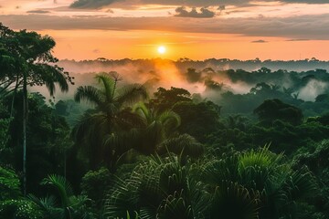 Fototapeta na wymiar Enchanting view of the amazon rainforest in golden hour light Highlighting the beauty and mystery of nature