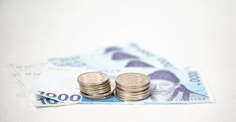 south sores Thousand won bank note