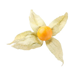 Ripe physalis fruit with calyx isolated on white