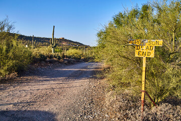 Desert Dead End Sign with Saguaro Cactus and Blue Sky - Arizona
