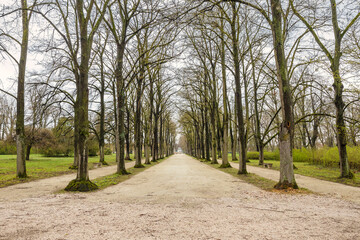 Alley of trees in The Eszterhaza castle park in Fertod, Hungary, Europe.