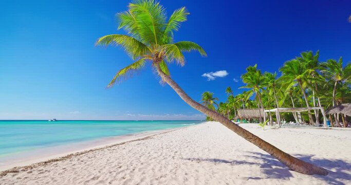 Paradise tropical island beach shore with exotic palm trees and caribbean sea by sunny summer day, exotic tourist destination for family vacation