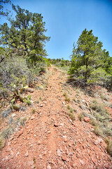 Sunny Desert Hiking Trail with Cacti in Sedona, Arizona