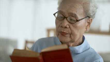 elderly read a book at home
