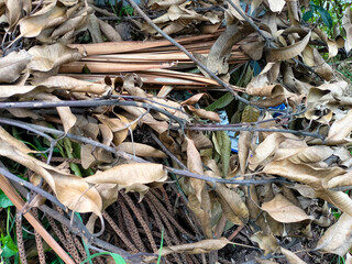Abstract texture natural background of twigs with dry leaves