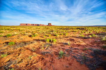 Expansive Arizona Desert with Red Rock Formations and Sparse Vegetation