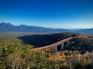 秋の橋
autumn bridge