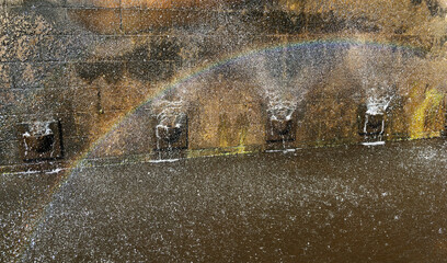 Fototapete bei efototapeten.de bestellen   