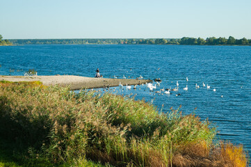 river close-up, in the photo there is a river, blue sky and green meadow