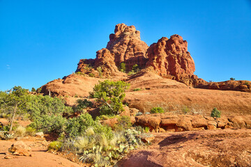 Sedona Red Rock Formation and Desert Flora Under Blue Sky