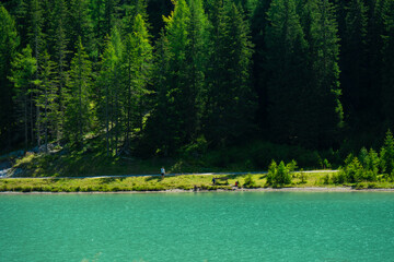 mountain lake Schlierersee, Lungau Austria in pine trees.Transparent green water of lake on blue sky background