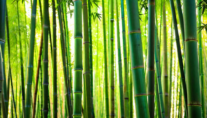 Bamboo Forest. Nature. Greenery. Zen. Tranquil. Asian. Scenic. Flora. Tropical. Wilderness. Bamboo Grove. Lush. Natural. Serene. Botanical. AI Generated.