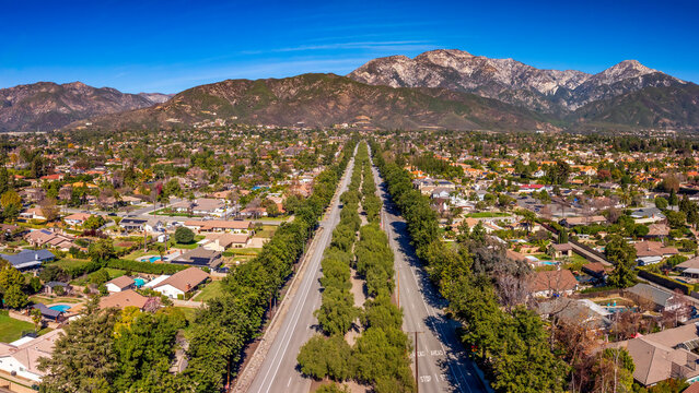 Tree lined Euclid Ave in Ontario California