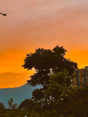 Orange sunset background with trees and buildings. Medellin, Colombia.