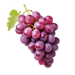Fototapeta premium Fresh Grapes Purple Grapes Grape on the Vine No Background 