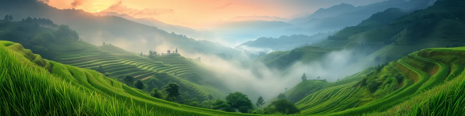 Fototapete Reisfelder rice field curve terraces at sunrise time, the natural background of nature Asia, rice paddy field in the mountain with fog at sunrise