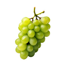 Fresh Grapes Green Grapes on the Vine No Background