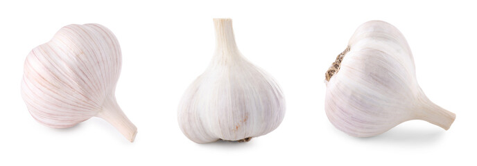 Fresh garlic bulbs isolated on white, set