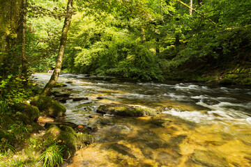 River Barle Somerset/An image showing the River Barle in Somerset taken with a slow shutter speed to emphasize the motion of flowing water, shot in Somerset, England UK.