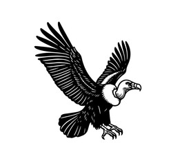 Andean Condor Hand Drawn Illustration vector graphic asset
