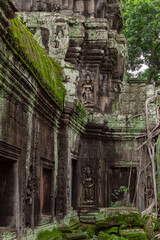 Naklejka premium Stone beautiful a pagoda temple ruin wall building architecture and moss covered rocks and bricks in Ta Prohm Tomb Raider Angkor Wat in Seim Reap Cambodia on a cloudy overcast day