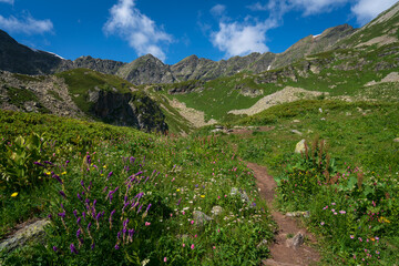 The valley of the Malaya Dukka River on the slopes of the Arkasar ridge in the North Caucasus and the tourist trail to the Dukka Lakes on a sunny summer day, Arkhyz, Karachay-Cherkessia, Russia