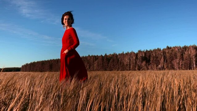 Young woman model in scarlet dress flowing in the wind. Stock clip. Brunette woman with curly hair in fild with forest and blue sky on the background.