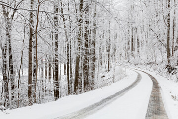 Winter Snow on Hwy 32 in Cosby, Tennessee - 729740998