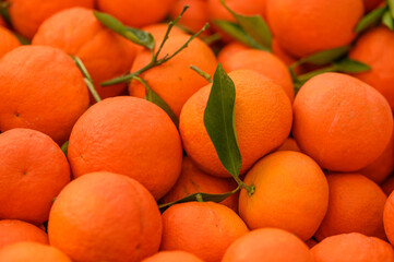 juicy fresh tangerines in boxes for sale in Cyprus in winter 6