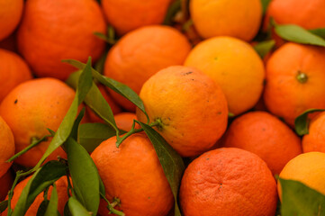 juicy fresh tangerines in boxes for sale in Cyprus in winter 7