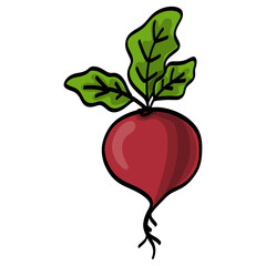 Beet Beets Fruit Vegetable Doodle Art Drawing Illustration Vector