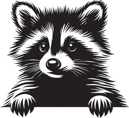 Peekaboo Raccoon © dinil