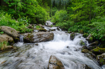 Hidden cascade waterfall in a dense luxuriant forest