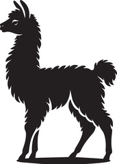 Silhouette of a Curious Baby Llama
