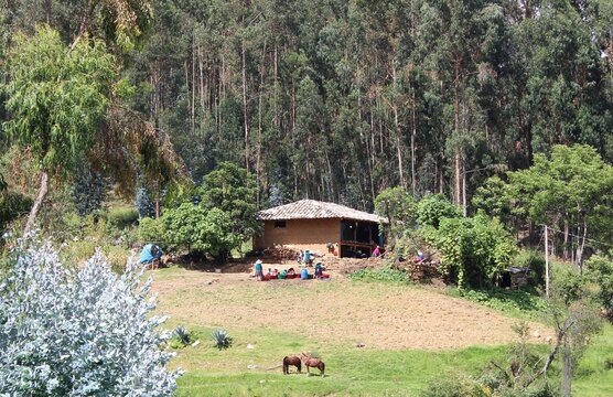 D&iacute;a de lavado en el campo, Cajabamba - Per&uacute;.