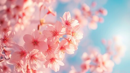 Close-up of cherry blossoms against a blue sky creates a beautiful spring background, Ai Generated.