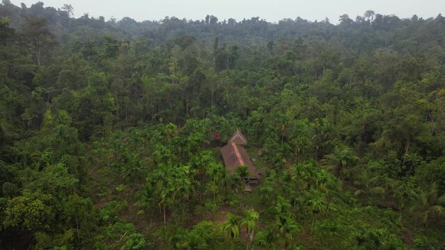 An aerial 4K drone view of the Mentawai Tribe's Uma, their home located deep in the jungle. You can see the house surrounded by jungle in all directions with no sign of other civilisation.