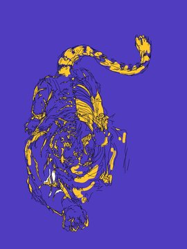 Garabato de tigre 