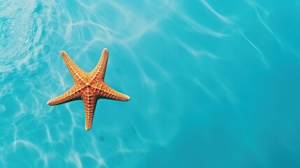 Fototapeta na wymiar Red starfish under water in calming blue sea water, holiday, vocation and relaxing concept