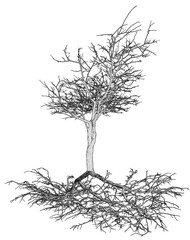 Dessin d’arbre avec racines 