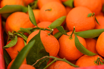 juicy fresh tangerines in boxes for sale in Cyprus in winter 17