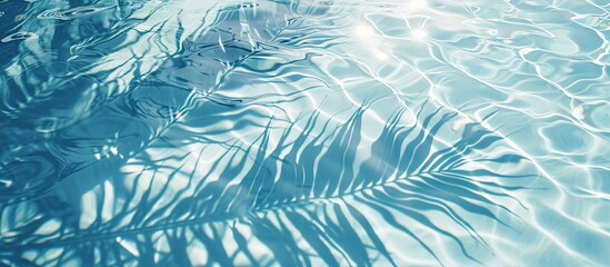 Light blue water surface with palm leaf shadow, summer vacation banner at the beach