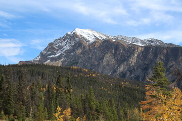 Autumn On The Mountain, Jasper National Park, Alberta